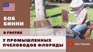 Промышленные пчеловоды Флориды. Часть 1 (Боб Бинни, США)
