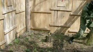 Пейнтбольная граната с активной чекой R2B Paintball grenade