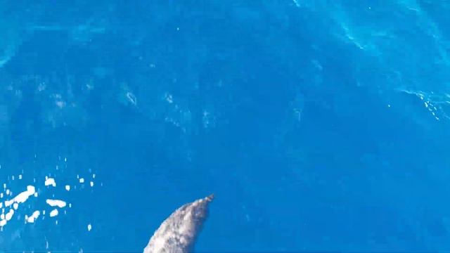 Как мы пересекали Атлантику, часть 1: Гибралтар - Канары смотреть онлайн