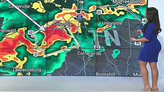 Felicia Combs - Short Blue Dress - Weather Channel - Rear View - Easy On The Eyes смотреть онлайн