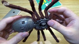 RC ПАУК БЕСПЛАТНО ОТ КИТАЙЦЕВ - ВАША КОШКА БУДЕТ В ШОКЕ