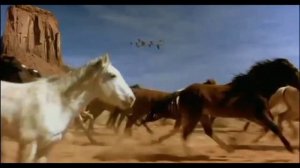 Клип про лошадей 🐎😍😍