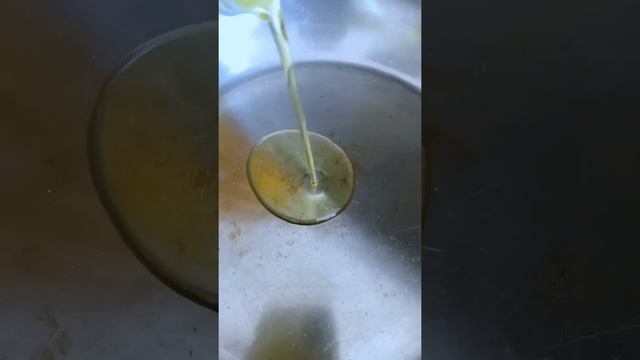 Салат с морским гребешком и малосольной неркой #Shorts#