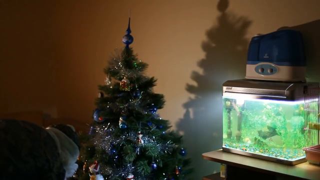 дед мороз существует! смотреть онлайн