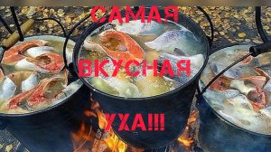 Уха на костре.