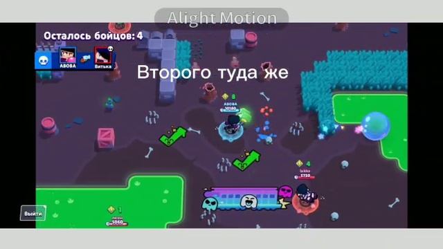 Введите текст