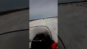 Yamaha Bravo 250