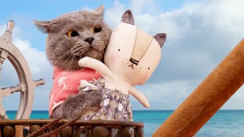 Самые смешные котикиt #1