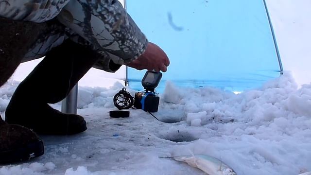 Ловля рипуса на первом озере в Челябинске