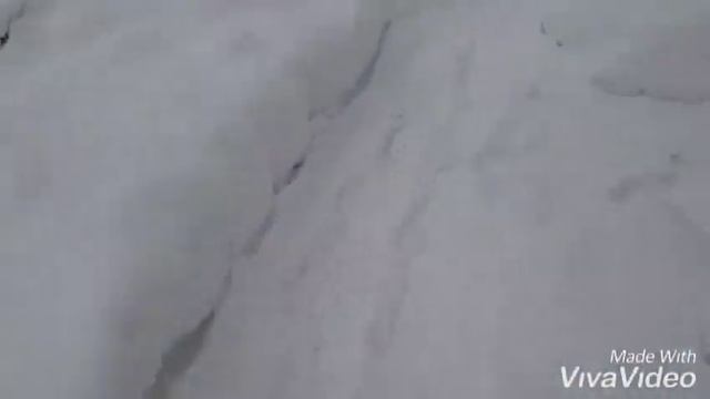 УТРО НА ДАЧЕ(кормление птиц) смотреть онлайн