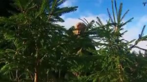 гр.МГК-Тропинка.