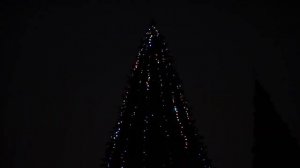 Гирлянда "Цветной Каскад" на елку высотой от 3м до 12м