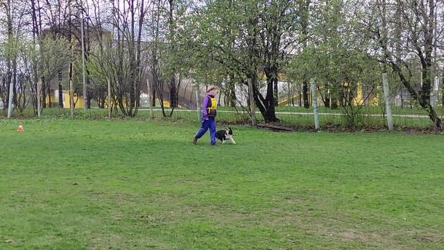 Баллада сдача испытаний по BH/VT смотреть онлайн