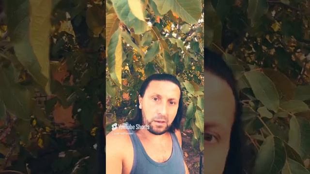 Подпишись 😉😉😉😉