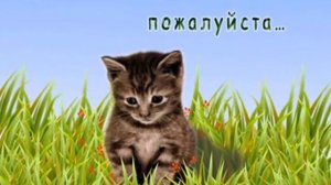 Толкунова Я не могу иначе