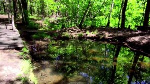 Челябинский бор живая природа тайные тропы   15.06.2022г
https://rutube.ru/video/0be0033a5c3eec306d6