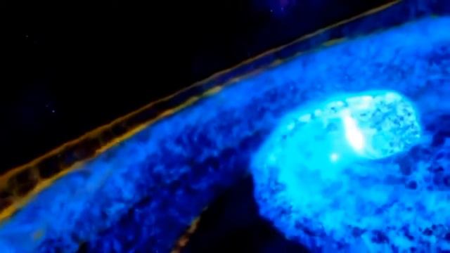 Музыкальная душа...Musical soul...Это сон, а не ошибка... смотреть онлайн