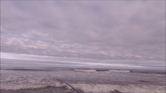 How To Catch Surf Perch - Oregon Surf Fishing смотреть онлайн