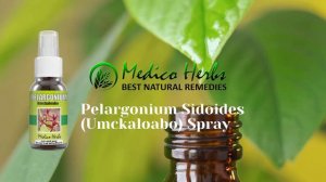 Pelargonium Sidoides Umckaloabo Spray from Medico Herbs