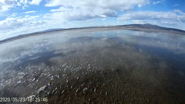 Едем за селедкой и без снастей смотреть онлайн