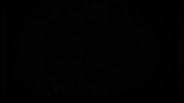 New Zealand Story Revolution NDS ROM смотреть онлайн