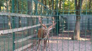 Поездка из Москвы в Нововоронеж