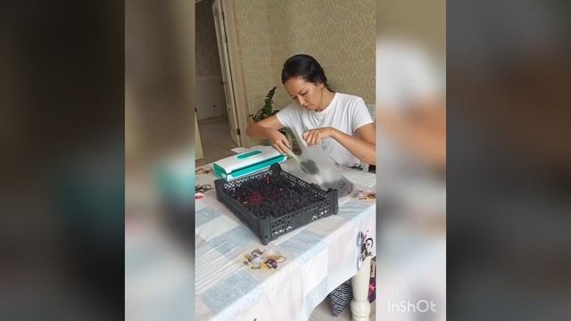 обзор на ВАКУУМАТОР KITFORT KT-1511-03 ? смотреть онлайн