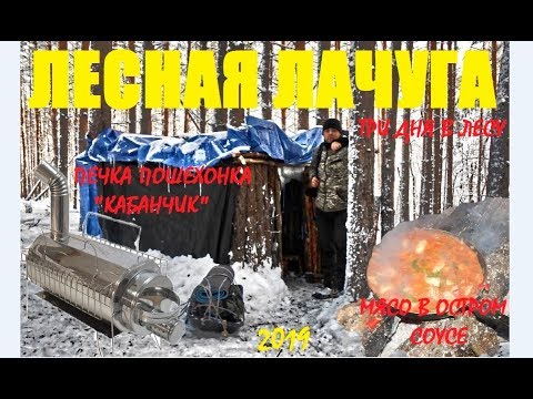 ЛЕСНАЯ ЛАЧУГА | Три дня в зимнем лесу| походная печка 'Кабанчик'