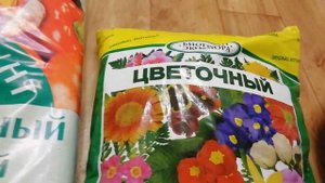 Выбор грунта для рассады овощей и цветов.Какой грунт выбрать?