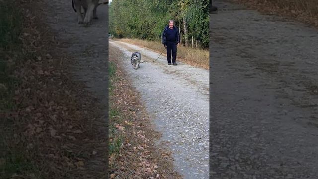Марисса идет на поправку! смотреть онлайн