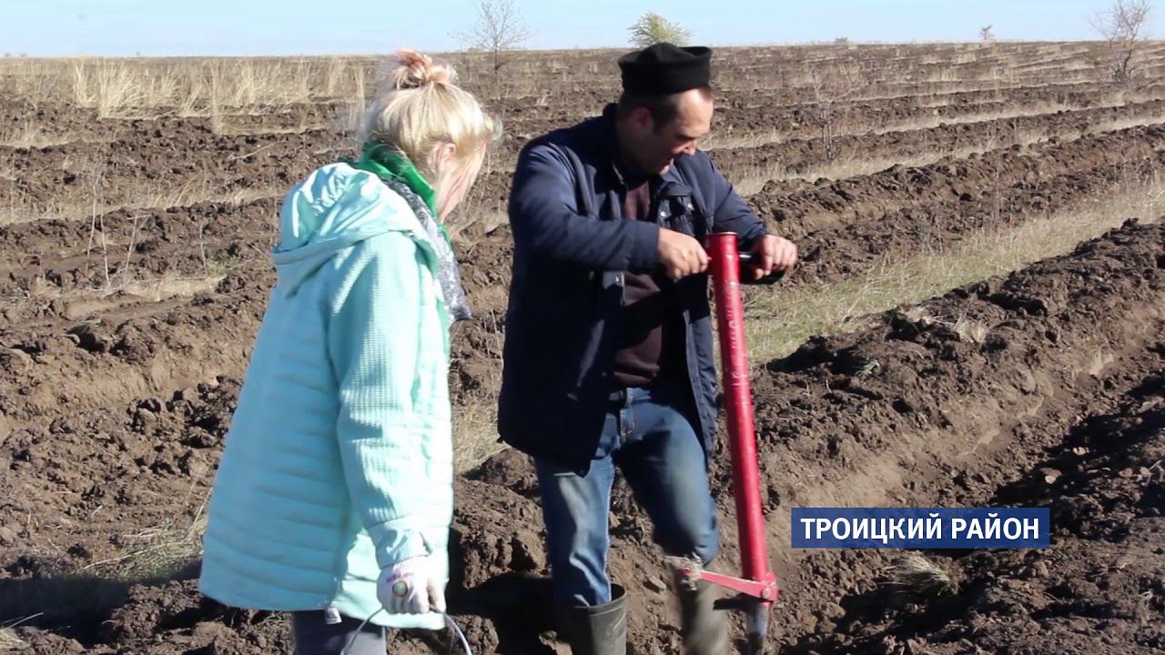 троицкое лесничество