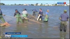 Промышленный лов рыбы в Астрахани стартовал накануне и продлится до 10 декабря