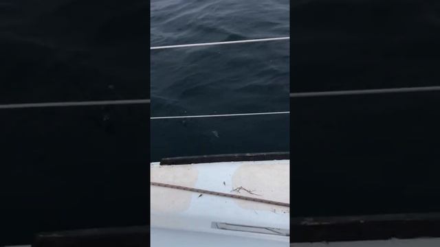 Рыбалка в Евпатории на Санта Фэ смотреть онлайн