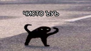 ЧИСТО ЪУЪ