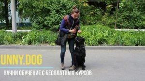 Когда и как кормить? До или после прогулки?