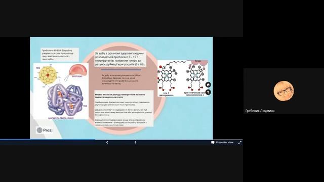 Лекція. Біохімічні функції печінки. Біотрансформація ксенобіотиків. Метаболізм білірубіну. Жовтяниц