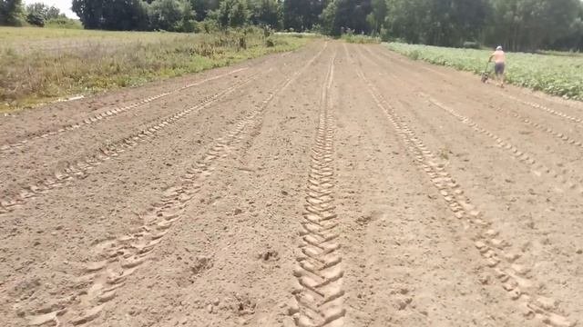 Китайская сеялка
