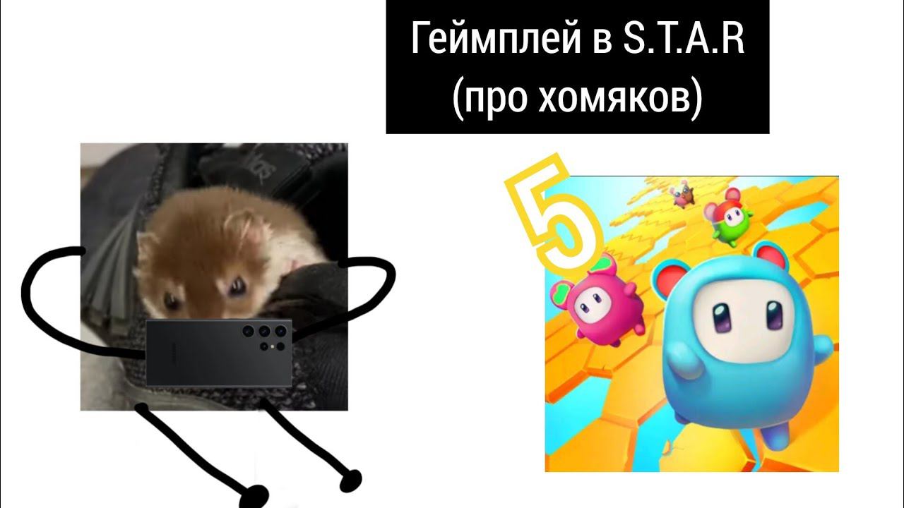 5-й геймплей в S.T.A.R. (про хомяков)