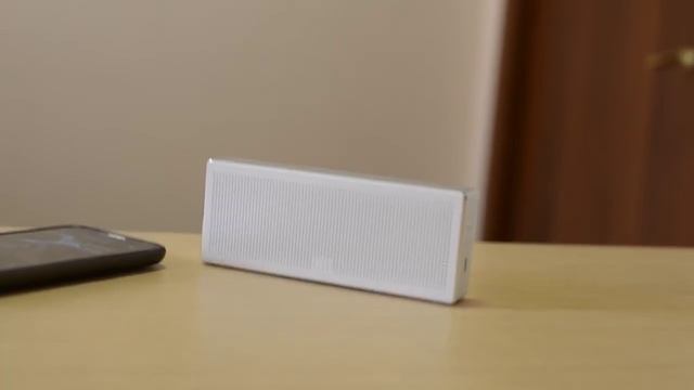 soundcheck xiaomi bluetooth speaker limp bizkit - gold cobra. смотреть онлайн