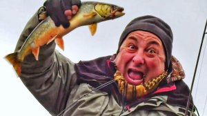 Жемчужина Полярного Урала. Часть 2. Озеро красной рыбы | С Полем!