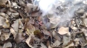 Как разжечь огонь?!