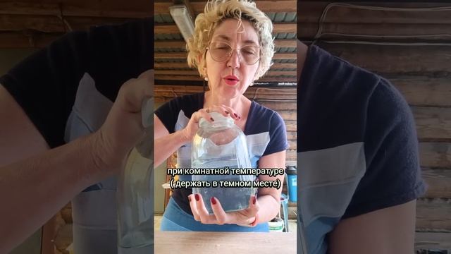 Чем обработать почву в теплице после уборки растений смотреть онлайн