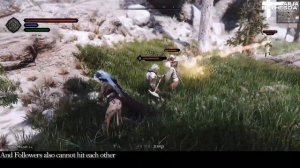 SKYRIM MOD I No Follower Attack Collision I SKSE Plugin