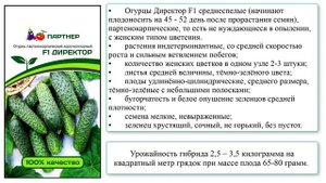 Гибрид огурцов Директор F1