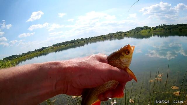 Тенкара. Нимфинг в карьере 15 июня смотреть онлайн