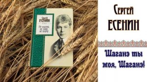 "Шаганэ ты моя,  Шаганэ... " (авт. Сергей Есенин)| читает Юлия Фильшина.