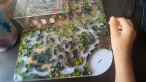 ПОКАЗЫВАЮ СВОИХ МУРАВЬЕВ В ФАРМИКАРИЕ