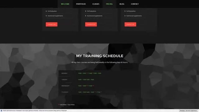 Personal Trainer – Premium Responsive Theme смотреть онлайн