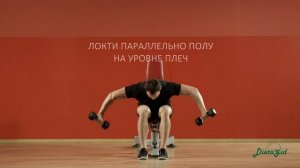 Качаем задние дельты гантелями