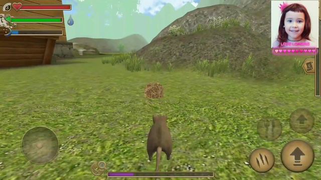 СИМУЛЯТОР МЫШИ. Знакомство и игрой